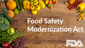 fda food safety