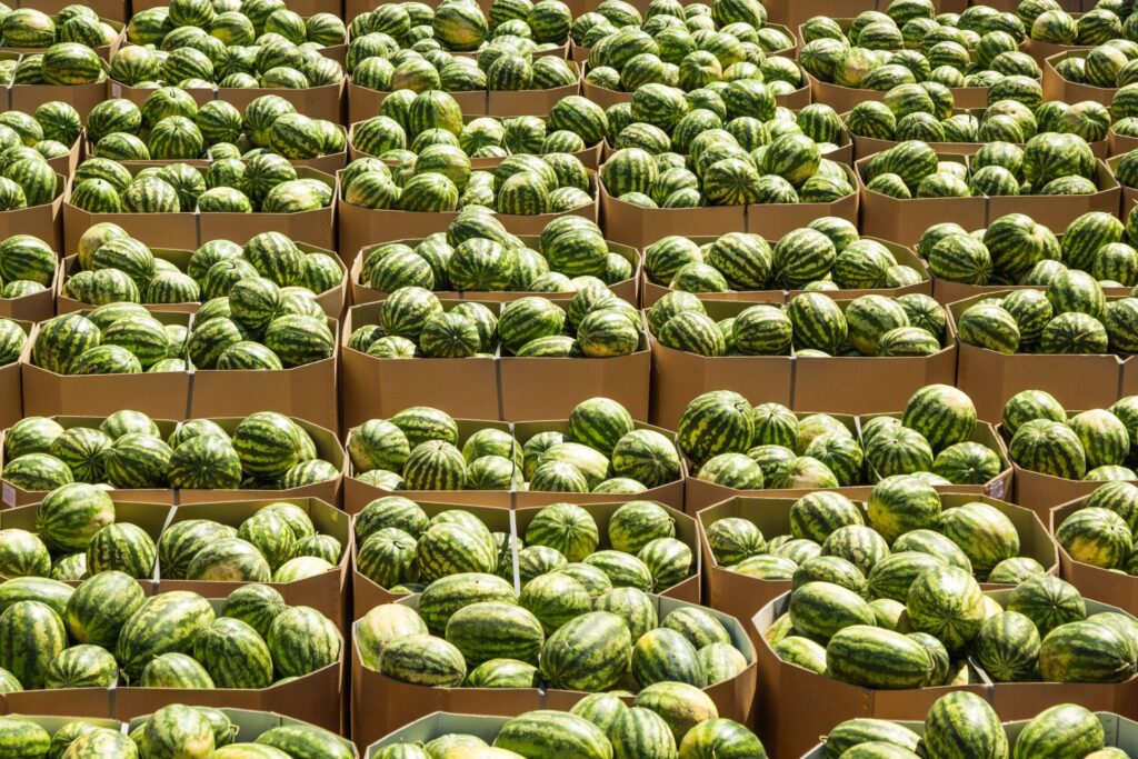 watermelon imports that passed customs and entered the u.s.