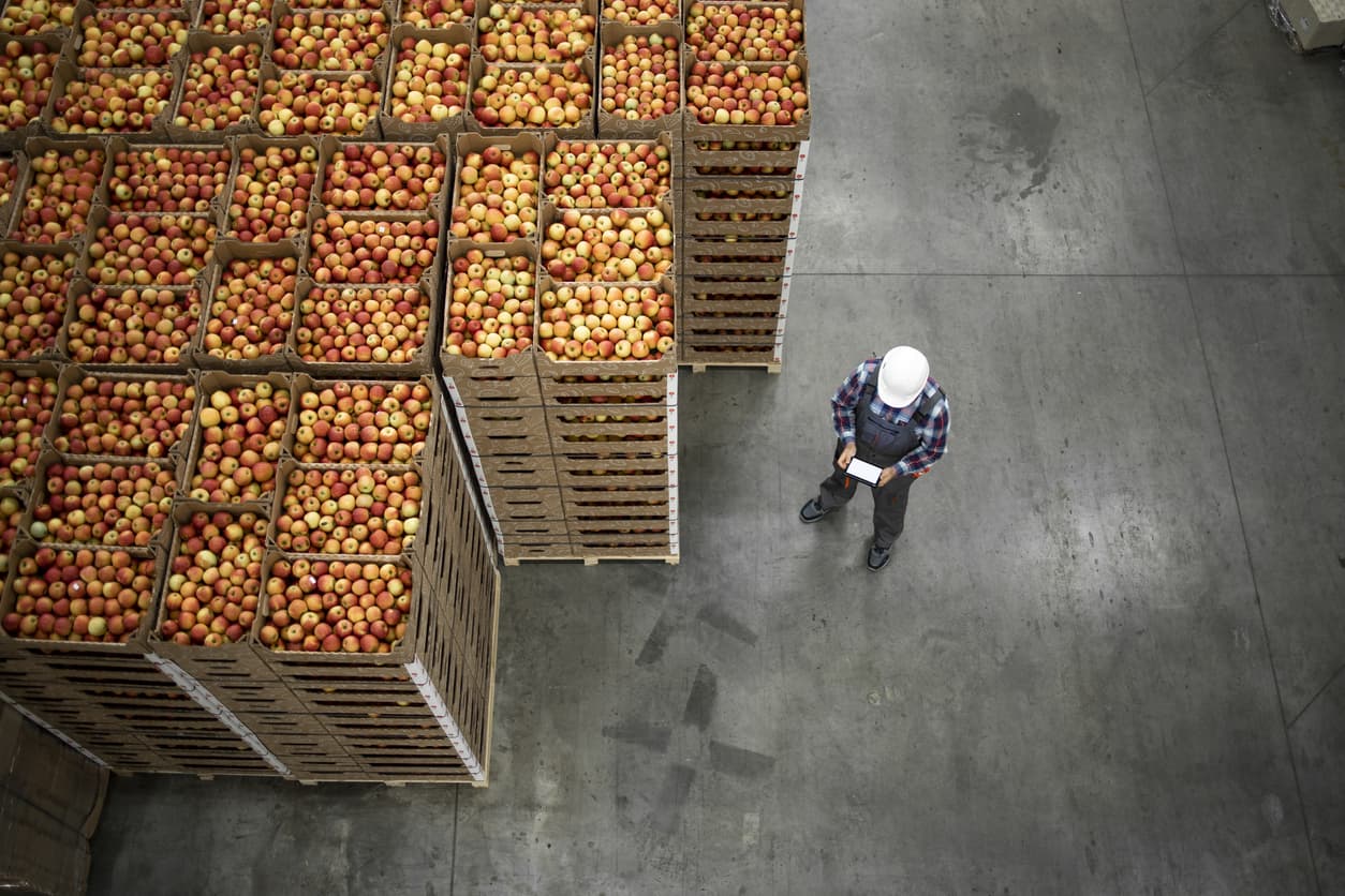 worker next to pallets of agricultural goods like apples in a refrigerated warehouse