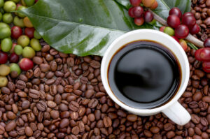 coffee beans shipments were imported into the u.s.