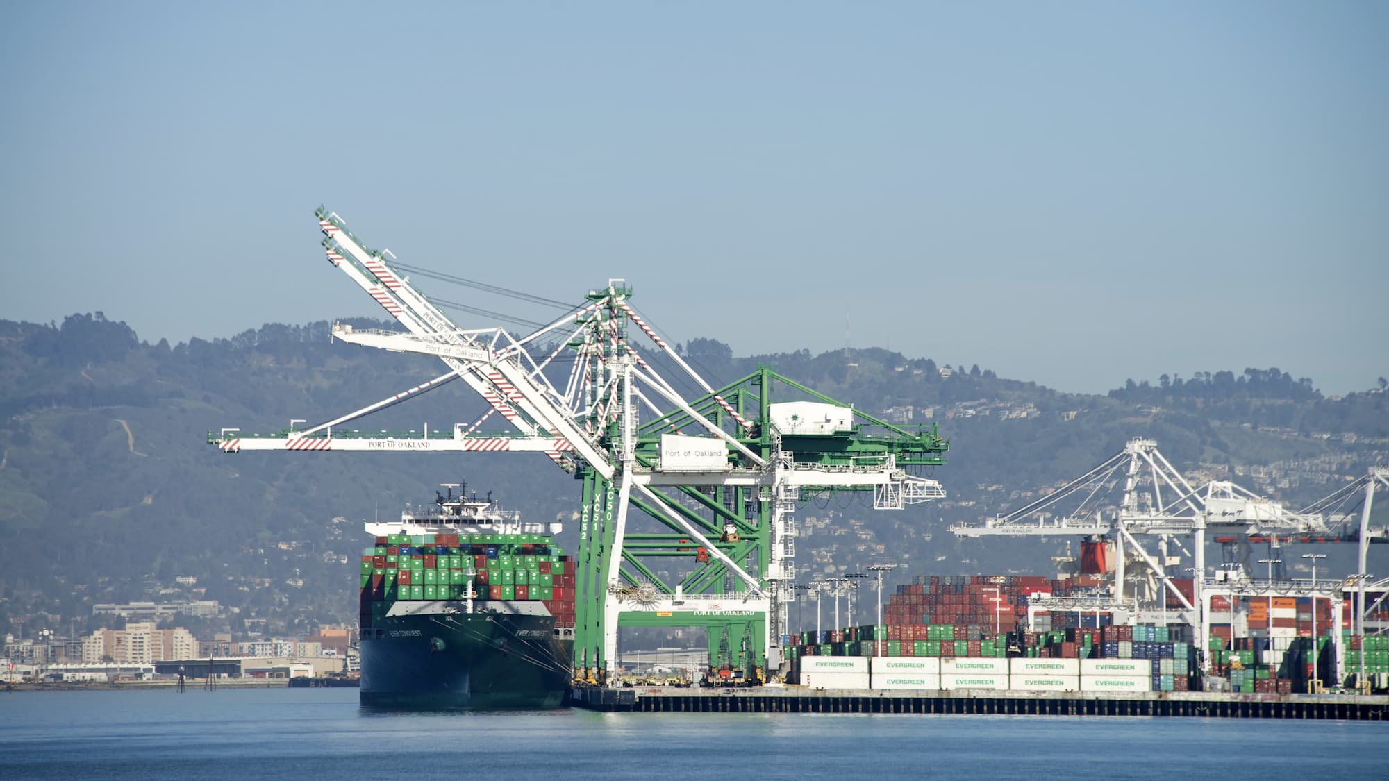 Union Worker Action Close West Coast Ports
