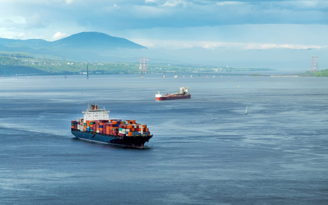 LCL Shipping to the USA: Costs, Customs, and Delivery