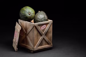 Importar aguacate a Estados Unidos