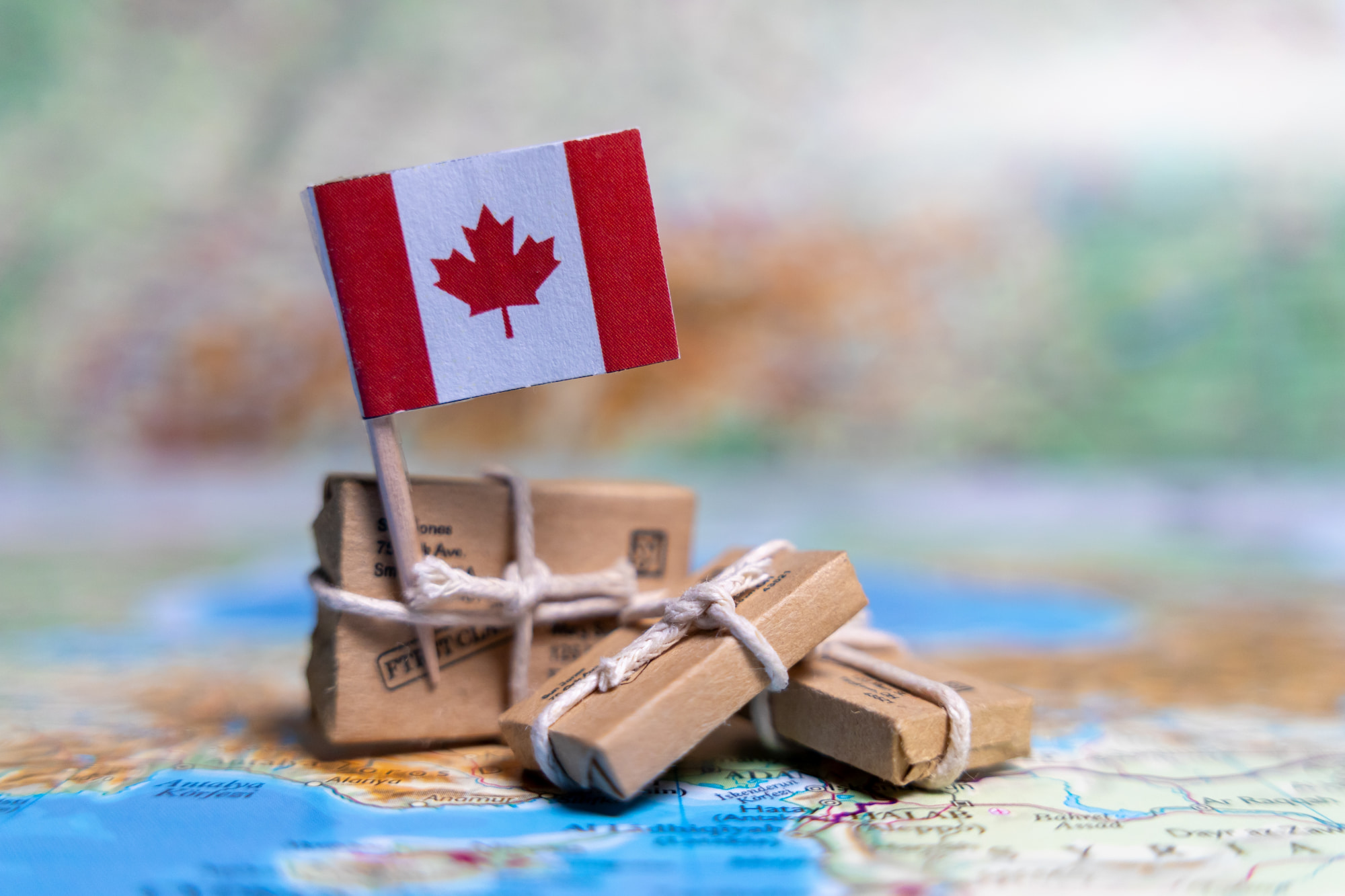 Canada Leading The BRICS Economy